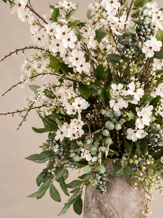 Close-up of Daphne white blossoms, layered greenery and berry-like details